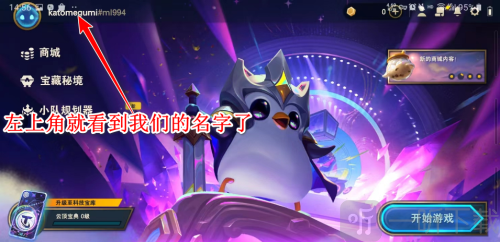 云顶之弈国际服