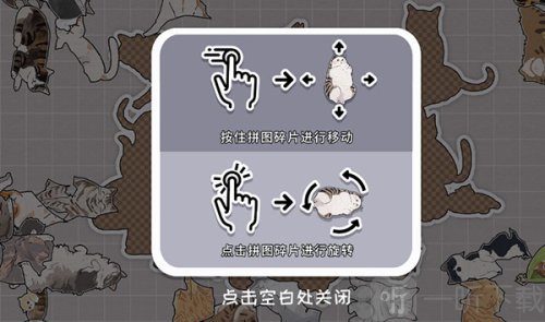 挤在一起的猫猫去广告版