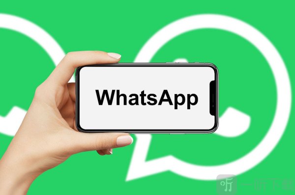 whatsapp官方