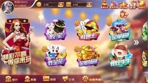 鸿运棋牌9982官网版