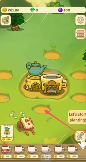 Tea Garden
