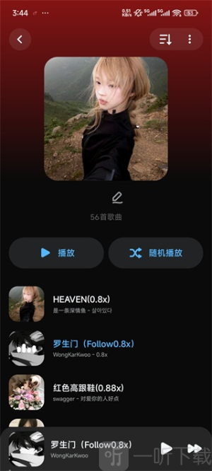 Lark Player汉化版