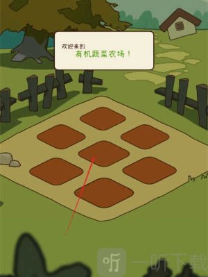 有机蔬菜农场