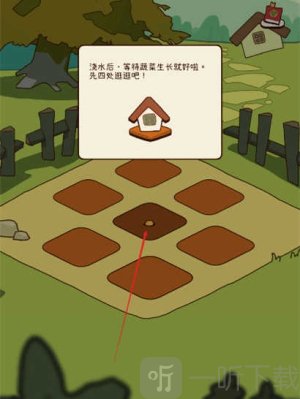 有机蔬菜农场