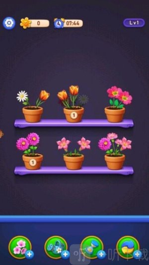 无序生花