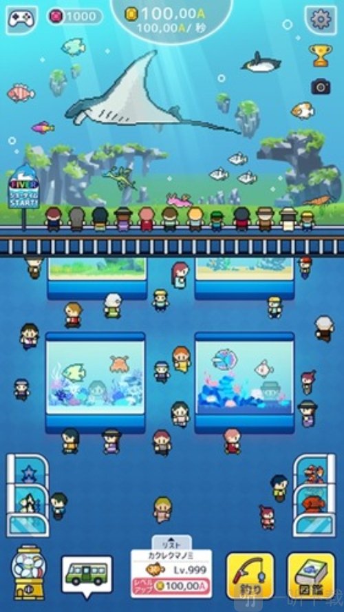 迷你水族馆