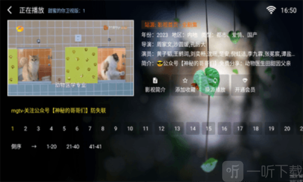 苹果电影
