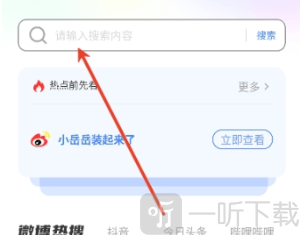 番柿浏览器