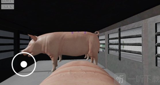 小豬的一生