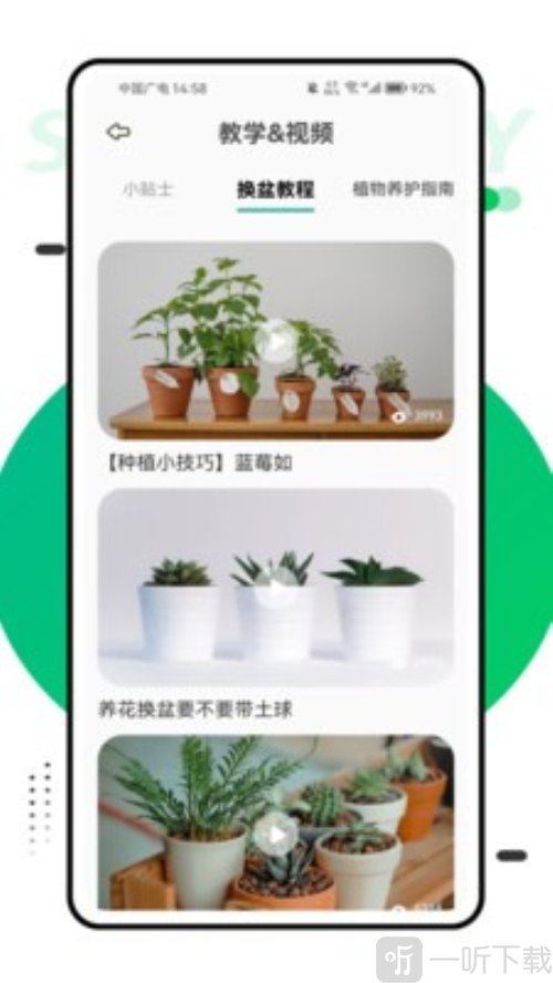 花粉浓度播报