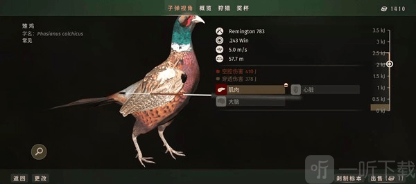 狩猎之道