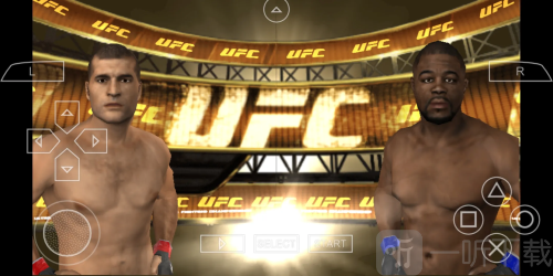 UFC终极格斗冠军赛2010