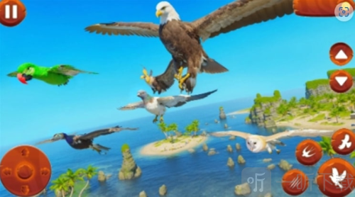 鸟类模拟器