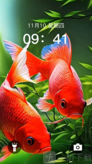 动态养鱼壁纸