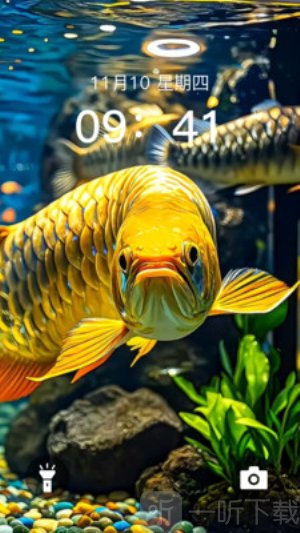 动态养鱼壁纸