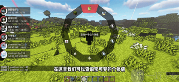 我的世界屁屁宝可梦