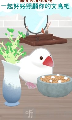 文鸟物语