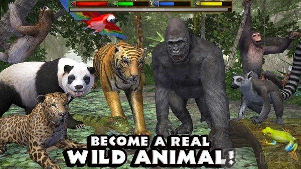 丛林动物模拟器