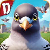 pigeon games
