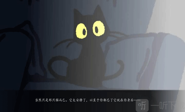 别带这只猫回家