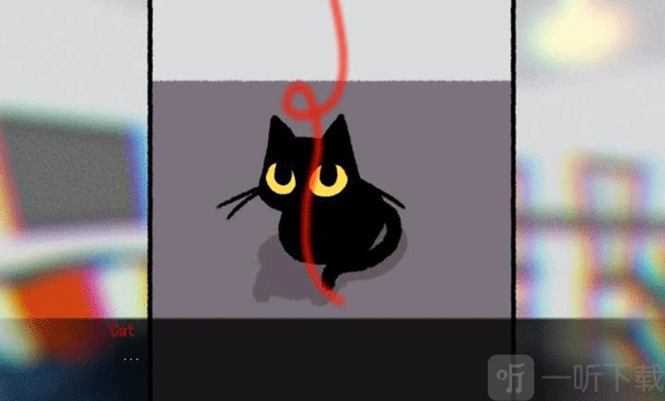 别带这只猫回家