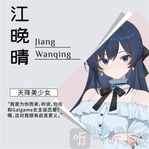 想成为Galgame领域大神