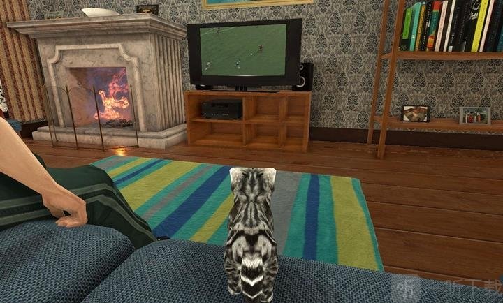 猫猫模拟器