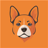 皮皮影视播放器