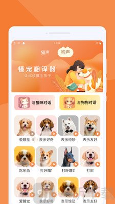 懂宠翻译器