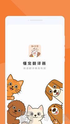懂宠翻译器