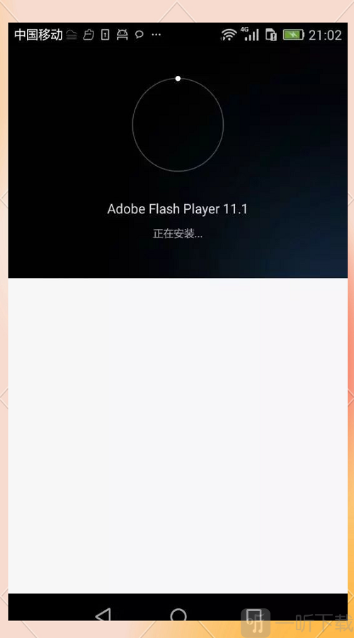 Adobe Flash Player