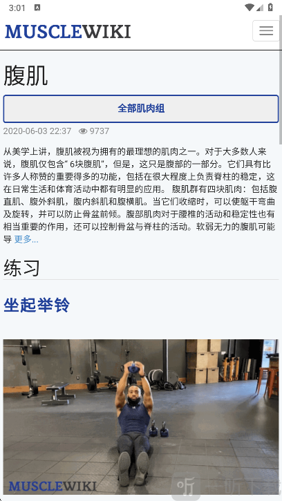 Muscle Wiki