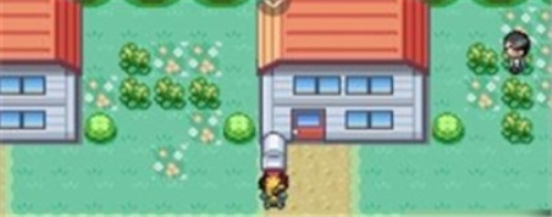 口袋妖怪黑暗崇拜内置作弊菜单