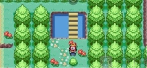 口袋妖怪黑暗崇拜内置作弊菜单