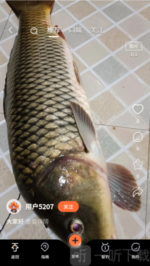 小红鱼