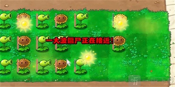 植物大战僵尸钱版