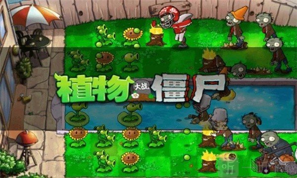 植物大战