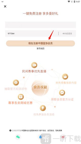 中国篮球