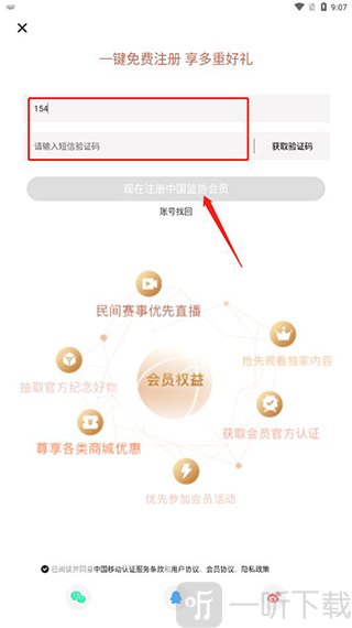 中国篮球