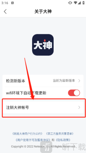 网易大神