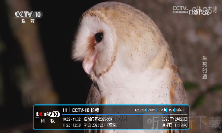 酷9