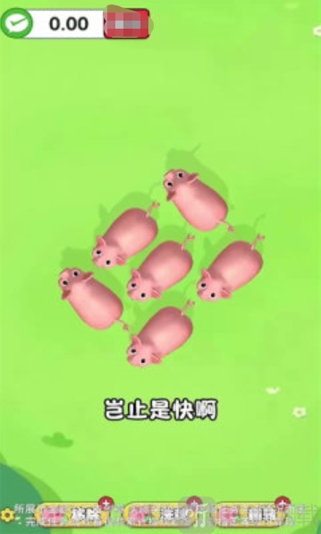 抓只小猪