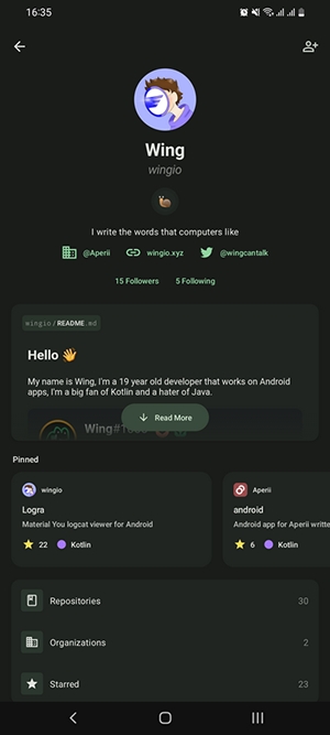 GitSkarios DEV截图