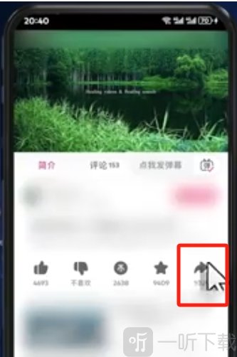 哔哩哔哩