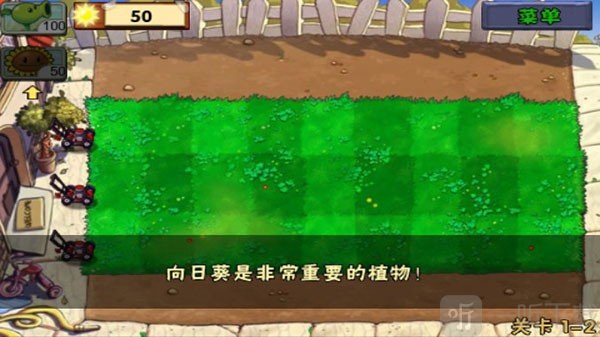 植物大战僵尸