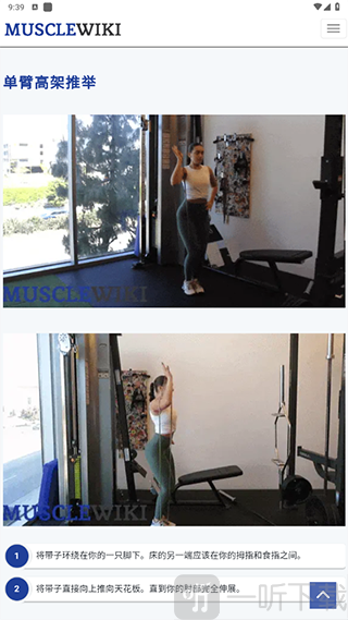 MuscleWiki中文版