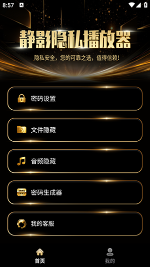 静影隐私播放器截图
