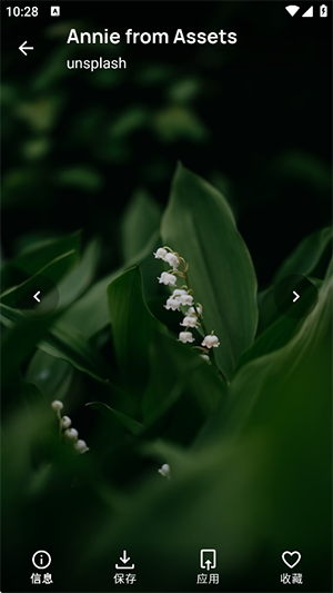 Frames截图