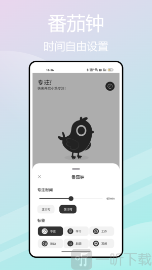 小鸡专注学习