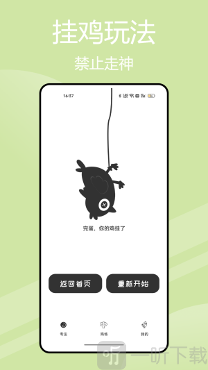 小鸡专注学习